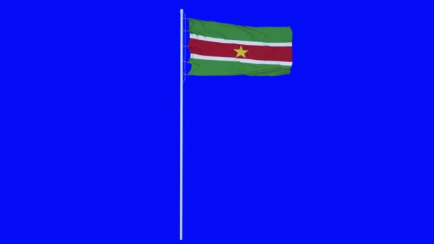 Bandeira do Suriname Acenando no vento na tela azul ou no fundo da chave chroma. Animação 4K — Vídeo de Stock