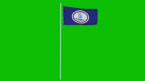 バージニア州旗緑色の画面またはクロマキーの背景に風に揺れる。4Kアニメーション — ストック動画