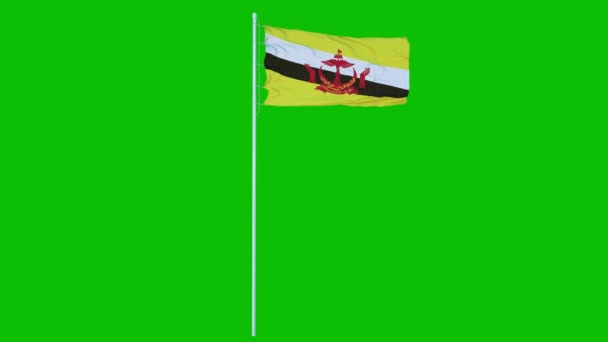 Bandera de Brunei Ondeando en el viento en la pantalla verde o croma clave de fondo. Animación 4K — Vídeos de Stock