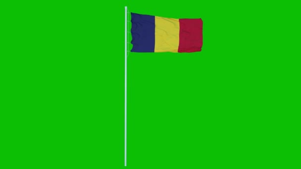 Chad Flag Waving on wind on green screen or chroma key background. 3D vykreslování — Stock video