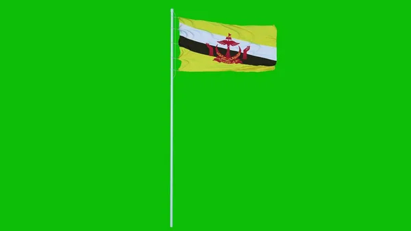 Yeşil Ekranda Rüzgarda Dalgalanan Brunei Bayrağı Veya Krom Anahtar Arka — Stok fotoğraf
