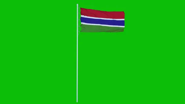 Gambia Zászló Integetett Szél Zöld Képernyőn Vagy Chroma Kulcs Háttér — Stock Fotó