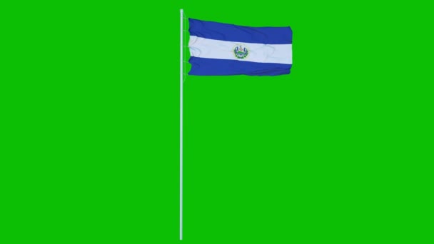 Bandeira de El Salvador Acenando no vento na tela verde ou no fundo da chave chroma. Renderização 3d — Vídeo de Stock