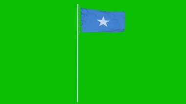 Somali Flag dalgaları yeşil ekranda ya da krom arka planda rüzgarda sallanıyor. 3d oluşturma