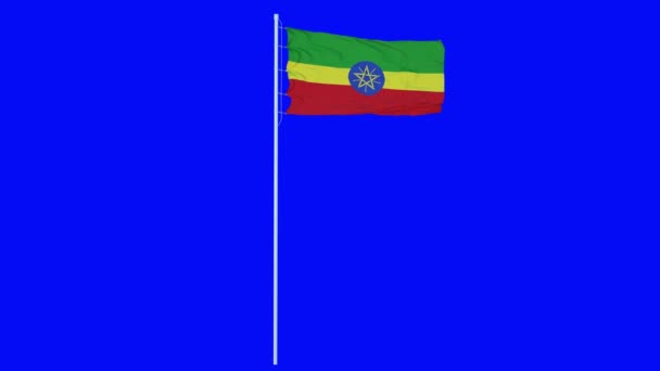 Etiopie vlajka vlnění na větru na modré obrazovce nebo chroma klíčového pozadí. 3D vykreslování — Stock video