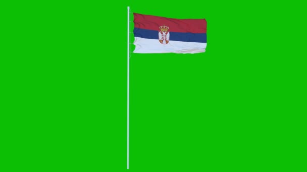 Servië vlag zwaaien op wind op groen scherm of chroma key achtergrond. 3d destructie — Stockvideo