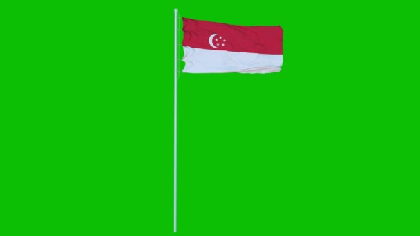 Bandeira de Singapura Acenando no vento na tela verde ou no fundo da tecla chroma. Renderização 3d — Vídeo de Stock