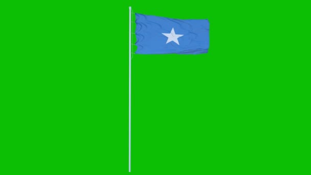 Флаг Сомали Размахивая на ветру на зеленом экране или хрома ключевого фона. 3d-рендеринг — стоковое видео
