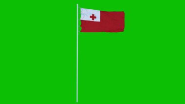 Tonga Flag dalgaları yeşil ekranda ya da krom arka planda rüzgarda sallanıyor. 3d oluşturma