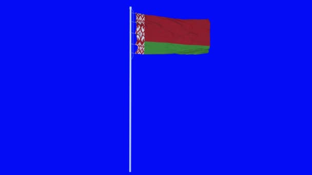 Vitryssland Flagga Vifta på vinden på blå skärm eller kroma nyckel bakgrund. 3d-konvertering — Stockvideo