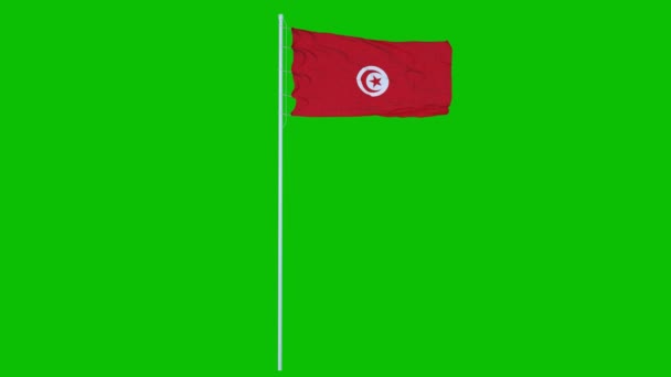 Bendera Tunisia melambaikan tangan pada angin pada layar hijau atau latar belakang kunci kroma. Rendering 3d — Stok Video