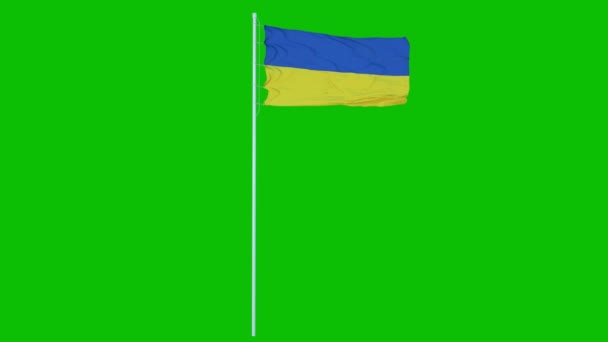Прапор України розмахує вітром на синьому екрані або хроматично ключовому тлі. 3d рендеринг — стокове відео