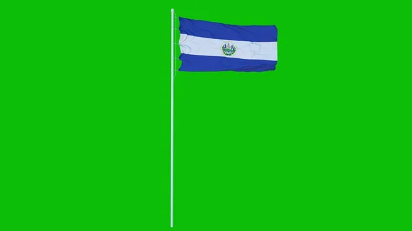 Bandeira Salvador Acenando Vento Tela Verde Fundo Chave Chroma Renderização — Fotografia de Stock