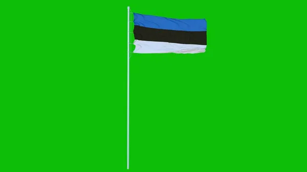 Estonsko Vlajka Vlnění Větru Zelené Obrazovce Nebo Chroma Klíčové Pozadí — Stock fotografie