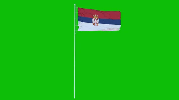 Bandera Serbia Ondeando Viento Pantalla Verde Croma Clave Fondo Renderizado — Foto de Stock