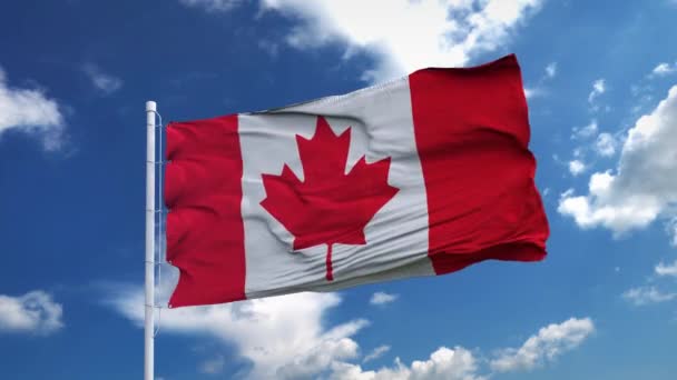 现实的加拿大国旗迎风飘扬，迎着深蓝色的天空飘扬. — 图库视频影像