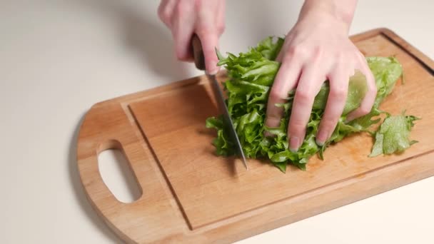 Main de femme coupe la feuille de laitue fraîche à l'aide du couteau de cuisine — Video