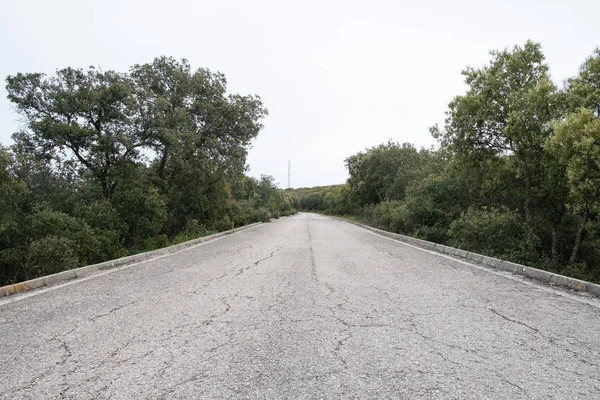 山の森の中を通る不規則なアスファルトで孤立した農村道路 — ストック写真