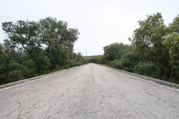 Strada rurale isolata con asfalto irregolare che attraversa boschi in montagna — Foto Stock