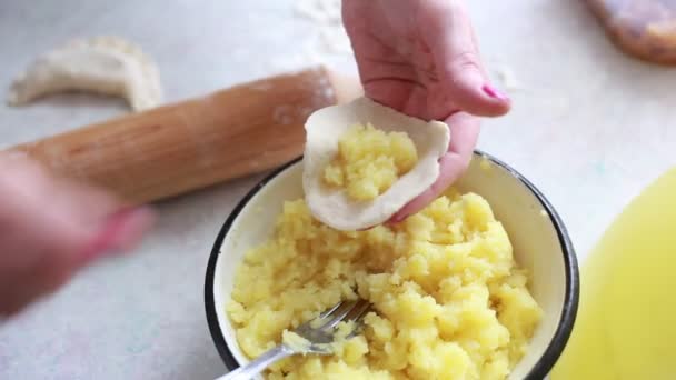 生地から手を彫刻する家庭料理の餃子 — ストック動画