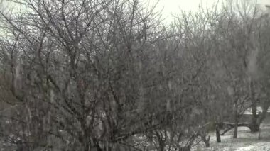 Kışın sonunda şiddetli kar yağışıweather forecast