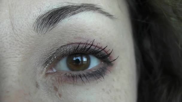 美丽的女性褐色眼睛 — 图库视频影像
