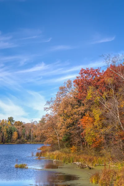 Осенние яркие цвета на реке Эппл — стоковое фото