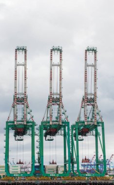 Evergreen Deniz Corporation Konteyner Vinç Los Ang bağlantı noktası