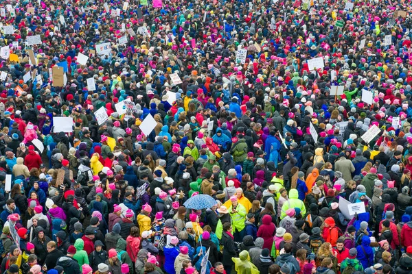 2017 kadın Mart Minnesota