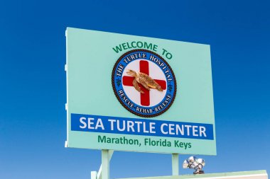 Turtle Hospital Sign and Logo clipart