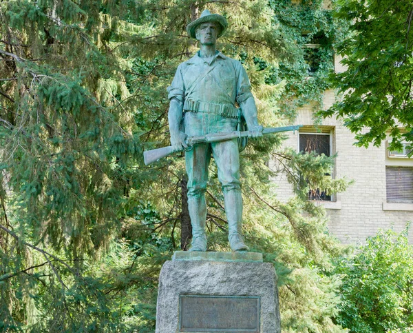 Estatua de Mike de Hierro en el Campus de la Universidad de Minnesota — Foto de Stock