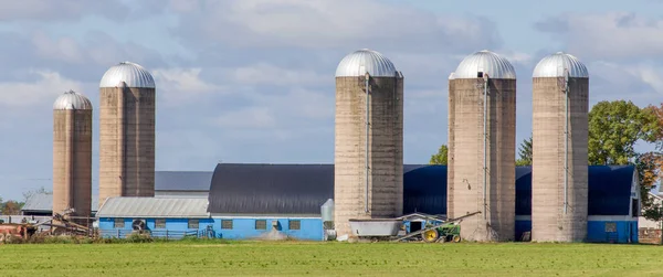 Grange bleue et bâtiments avec pâturage vert Premier plan Panorama — Photo