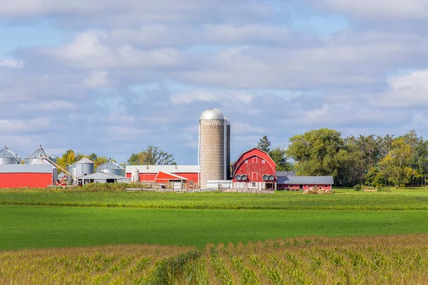 Piros pajta és épületek, a kukorica mező előtérben — Stock Fotó