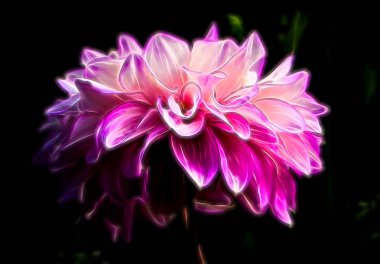 Bir soyut bir çiçek pembe şekil düşündüren parlayan.