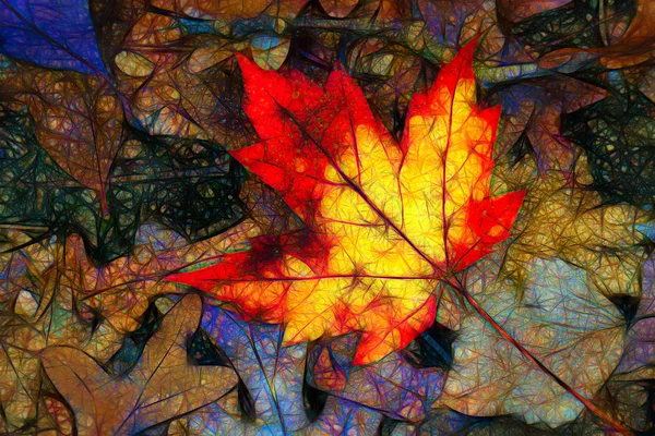 Abstract Rendition Fallen Maple Leaf Pattern Autumn — Stock Photo, Image