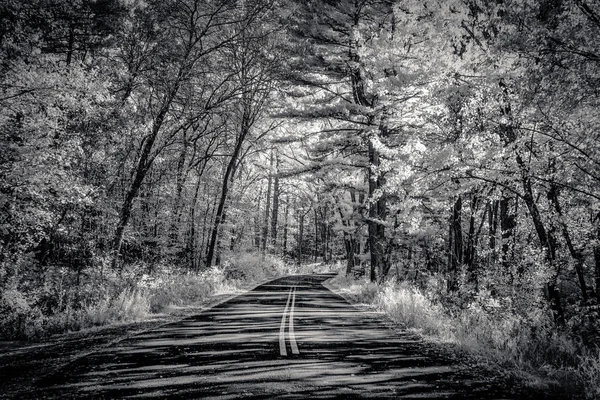 Secluded Road Interstate State Park United States Infrared Black White — Stock Photo, Image
