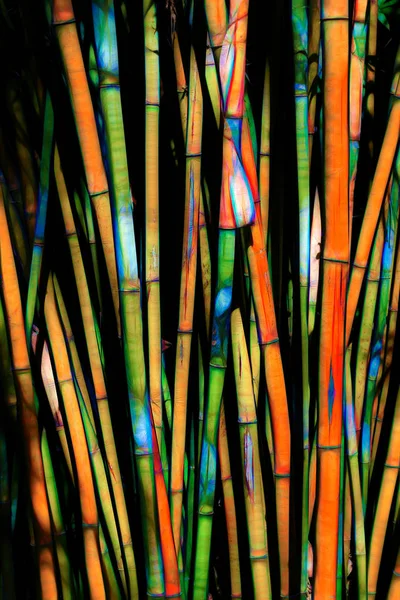 Bambu Ormanı'nın soyut sunumu — Stok fotoğraf
