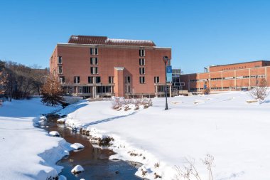Wisconsin-Eau Üniversitesi 'ndeki Mcintyre Kütüphanesi.