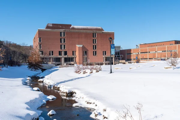 Biblioteca McIntyre dell'Università del Wisconsin-Eau Claire — Foto Stock