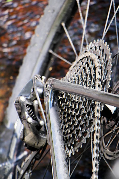 Giovane Ciclista Donna Mezzo Alla Natura — Foto Stock