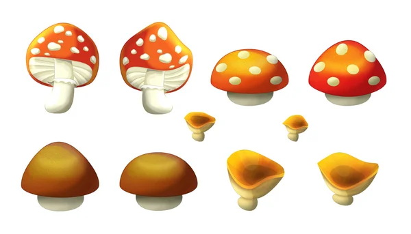 Jeu de dessins animés d "éléments de jardin - champignons - isolé - illustration pour enfants — Photo