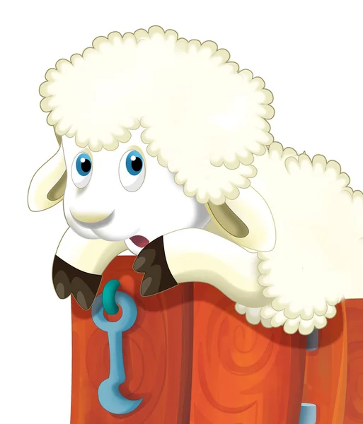 Cartoon funny sheep watching and resting — Stock Photo, Image