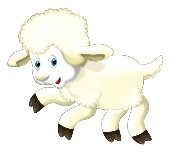 Desenhos animados engraçado ovelhas pulando e assistindo — Fotografia de Stock