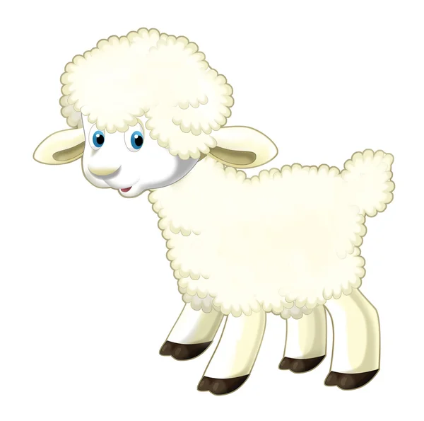 Мультфильм смешные овцы стоят и смотрят — стоковое фото