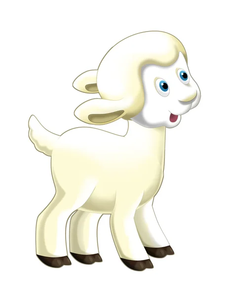 Cartoon funny sheep standing and watching — Stock Photo, Image