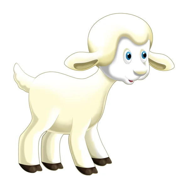 Kreslený Vtipný ovce postavení a sledování — Stock fotografie