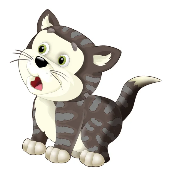 Cartoon šťastný kočkovitou šelmou a sledování — Stock fotografie