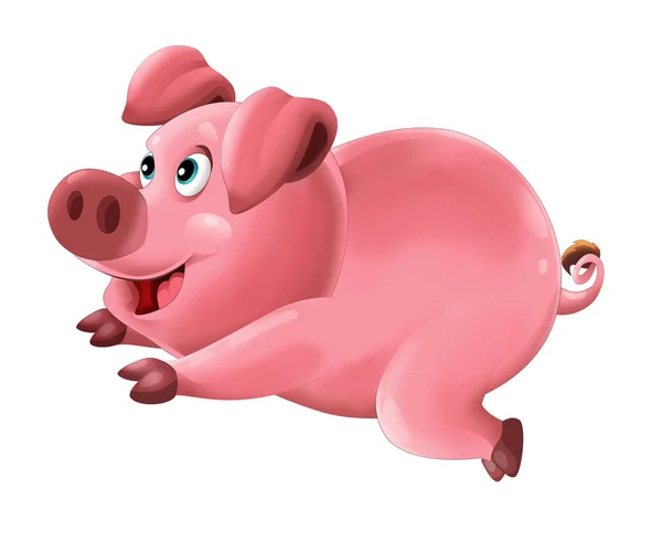 만화 행복 한 돼지 실행 및 보고 — 스톡 사진