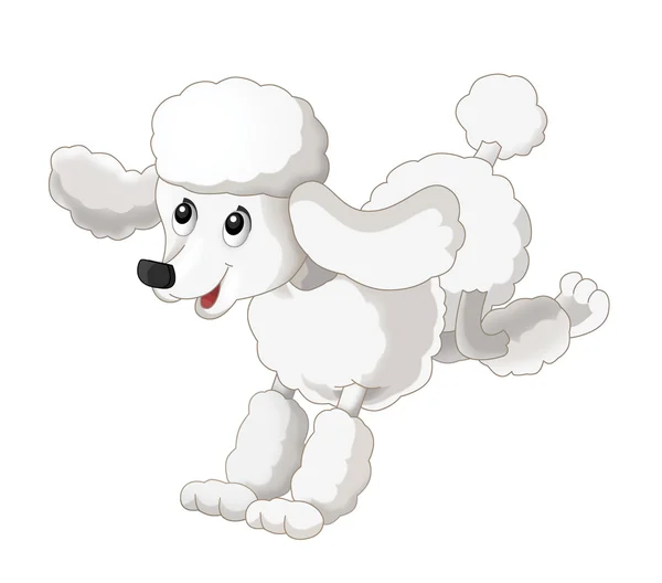 Desenhos animados cão feliz - animal — Fotografia de Stock