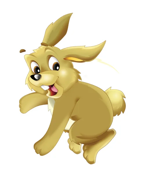 Cartoon rabbit - isolated - illustration for children — Stock Photo, Image